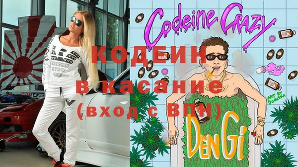 индика Горнозаводск